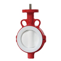 DN Fluorine-butterfly butterfly valve