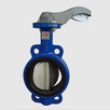 220D series butterfly valve