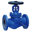 DN Globe valve