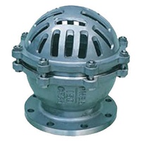 H-type check valve